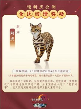 大品牌天龙八部私服